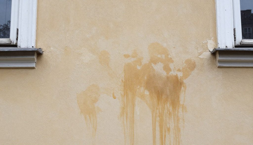 Feuchtigkeitsschaden an Altbau Wand in Syke vor Sanierung Feuchtigkeitsschaden an Altbau Wand in Syke vor Sanierung